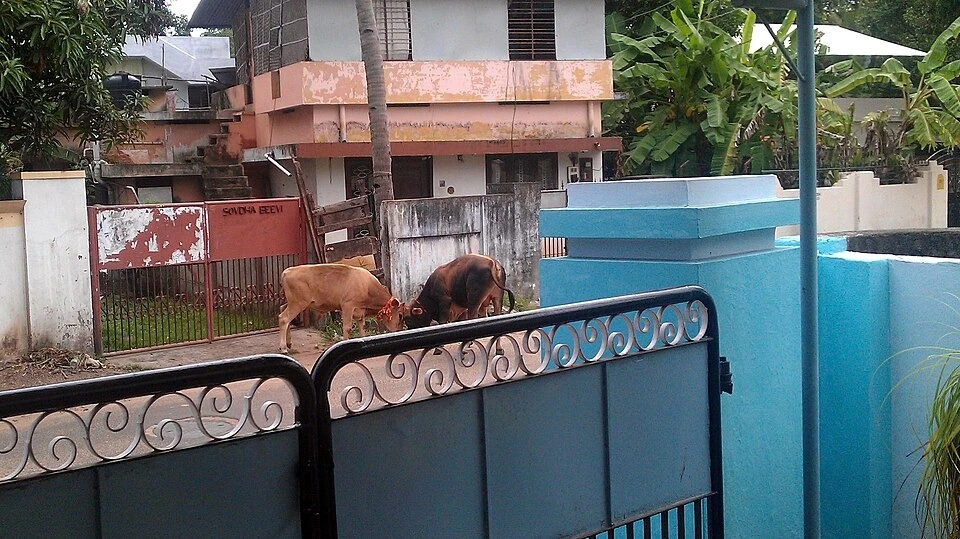 Laudo de avaliação de imóvel valor